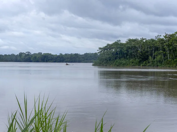 Перегляд Річки Амазонка Напо Ясуні Національного Парку Еквадор — стокове фото