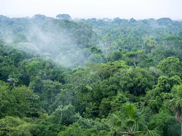 Bekijk Van Bovenaf Amazone Rivier Napo Yasuni Nationaal Park Ecuador — Stockfoto