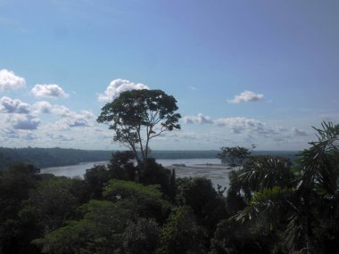 yukarıdan Amazon Nehri Napo, Yasuni Milli Parkı, Ekvador görüntülemek