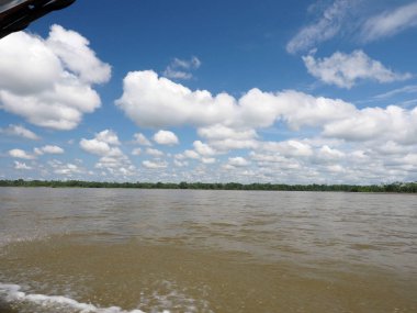 Amazon Nehri Napo, Yasuni Milli Parkı, Ekvador görünümünü