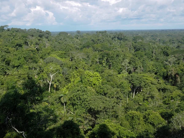 Bekijk Van Bovenaf Amazone Rivier Napo Yasuni Nationaal Park Ecuador — Stockfoto
