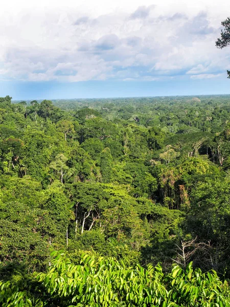 Bekijk Van Bovenaf Amazone Rivier Napo Yasuni Nationaal Park Ecuador — Stockfoto