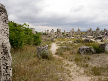 Taş vadi 50 milyon yaşında, Bulgaristan orman.