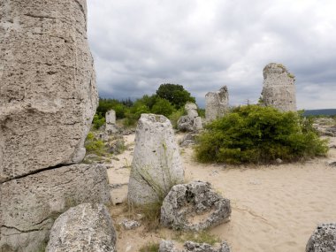 Taş vadi 50 milyon yaşında, Bulgaristan orman.