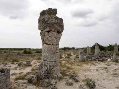 Taş vadi 50 milyon yaşında, Bulgaristan orman.