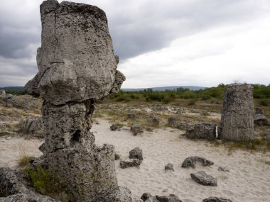 Taş vadi 50 milyon yaşında, Bulgaristan orman.