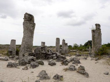 Taş vadi 50 milyon yaşında, Bulgaristan orman.