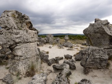 Taş vadi 50 milyon yaşında, Bulgaristan orman.