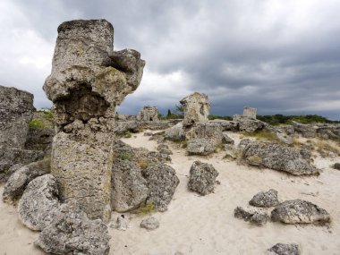 Taş vadi 50 milyon yaşında, Bulgaristan orman.