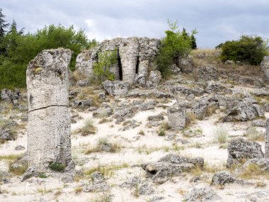 Taş vadi 50 milyon yaşında, Bulgaristan orman.