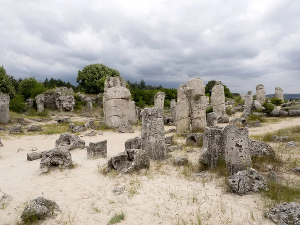 Taş vadi 50 milyon yaşında, Bulgaristan orman.