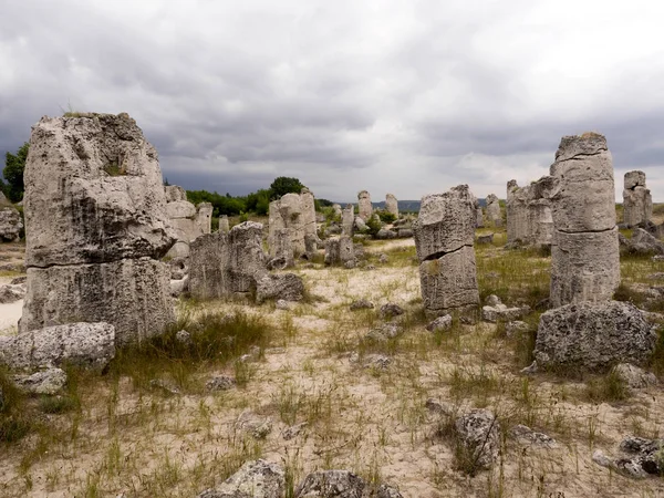 Taş vadi 50 milyon yaşında, Bulgaristan orman.