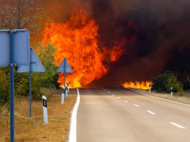 yanan Hırvatistan Pristeg köyü yakınlarında yol asfalt