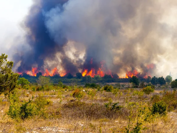 Incêndio Devastador Croácia Perto Aldeia Pristeg — Fotografia de Stock