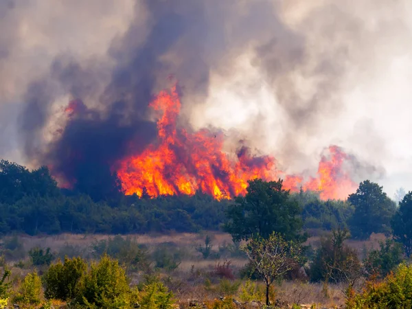 Pristeg köyü yakınındaki bir yıkıcı ateş-Hırvatistan