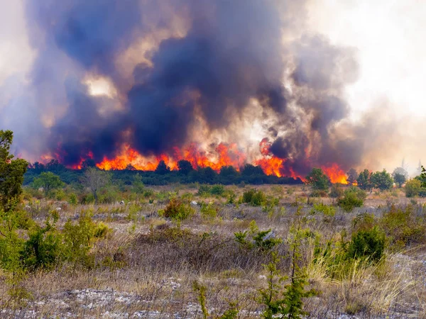 Verheerender Brand Kroatien Der Nähe Von Pristeg — Stockfoto