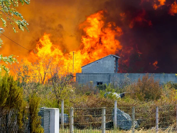 Incendio Devastante Croazia Vicino Villaggio Pristeg — Foto Stock