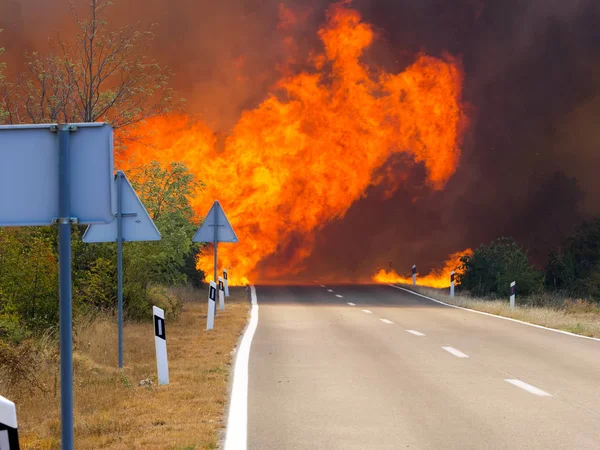 Bruciando Strada Asfaltata Croazia Vicino Villaggio Pristeg — Foto Stock