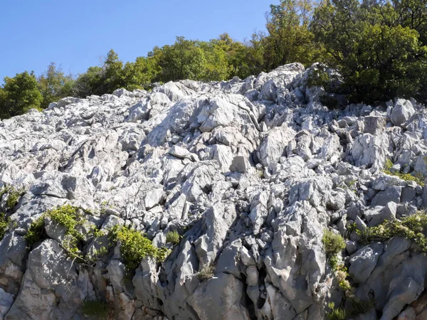 Campo Pedregoso Costa Adriática Croacia — Foto de Stock