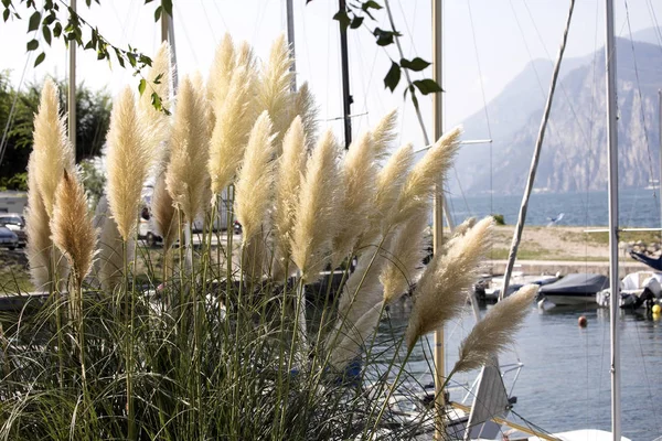 Tiempo Fresco Lago Garda Italia — Foto de Stock