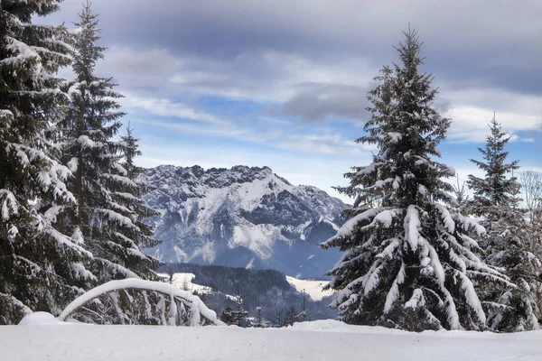 Schönheit Verschneite Landschaft Österreich — Stockfoto
