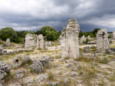 Taş vadi 50 milyon yaşında, Bulgaristan orman.