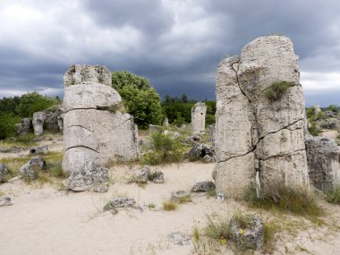 Taş vadi 50 milyon yaşında, Bulgaristan orman.