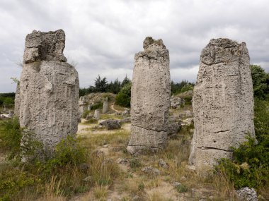 Taş vadi 50 milyon yaşında, Bulgaristan orman.