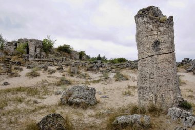 Taş vadi 50 milyon yaşında, Bulgaristan orman.