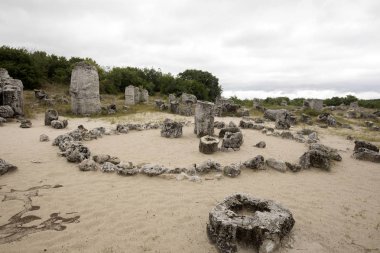 Taş vadi 50 milyon yaşında, Bulgaristan orman.
