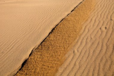 Rüzgar ilginç çizimleri kuma Sardunya oluşturur.