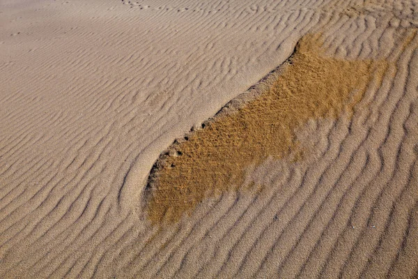 Интересные Формирования Песке Сардиния — стоковое фото