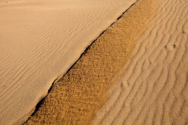 Vind Skapar Intressanta Ritningar Sanden Sardinien — Stockfoto