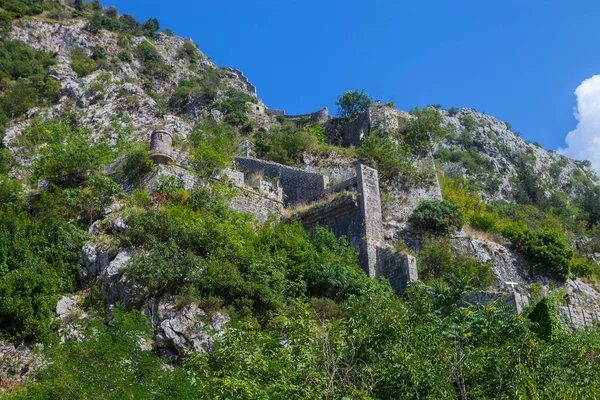 Casco Antiguo Kotor Montenegro —  Fotos de Stock