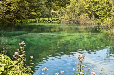 Plitvice Milli Parkı, Hırvatistan güzellikleri