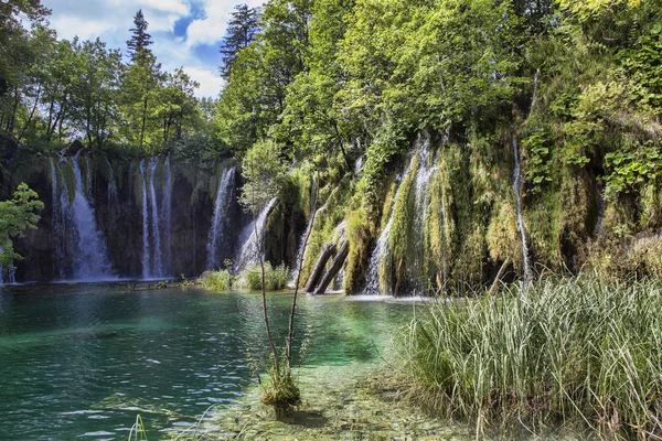 Bellezze Del Parco Nazionale Plitvice Croazia — Foto Stock