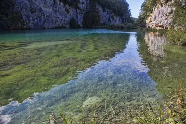 Bellezze Del Parco Nazionale Plitvice Croazia — Foto Stock