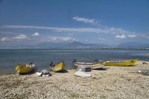 Barcos Pesca Orilla Del Lago Skadar Albania —  Fotos de Stock