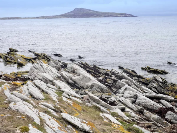 Foggy Coast Carcass Island Falkland Malvinas — Stock Photo, Image