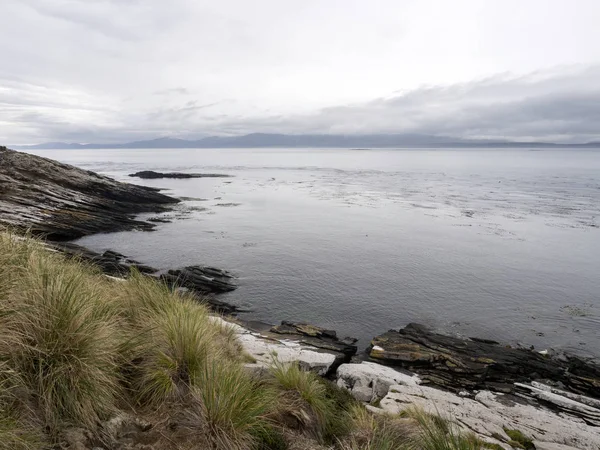 Neblige Küste Kadaverinsel Falklandmalvinas — Stockfoto