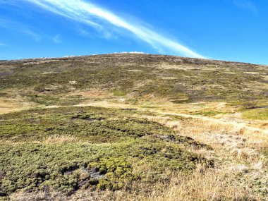 yaşanması zor sahil karkas, Falkland Adaları - Malvinas