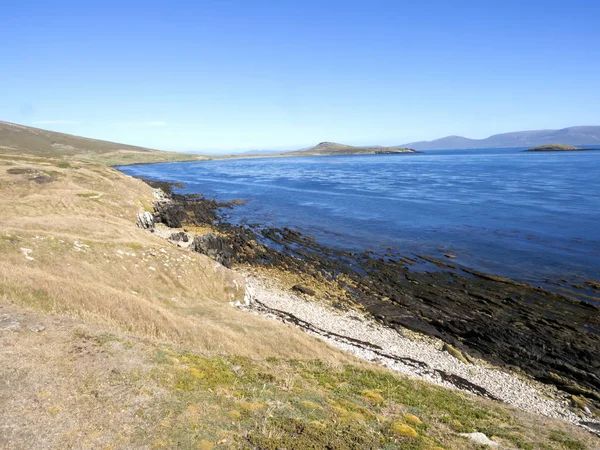 Inhospitable Coast Carcass Falkland Islands Malvinas — Stock Photo, Image