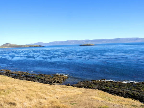 Unwirtliche Kadaver Der Küste Falklandinseln Malvinas — Stockfoto
