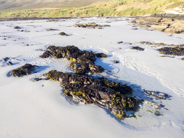 Carcass Coast Island Falklands Malvinas — Stock Photo, Image