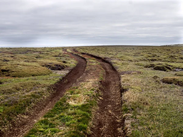 cars running off path, Sea Lion Island, Falkland Islands / Malvinas