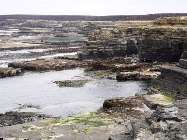 ilginç kaya oluşumları deniz aslanı Adası, Falkand / Malvinas