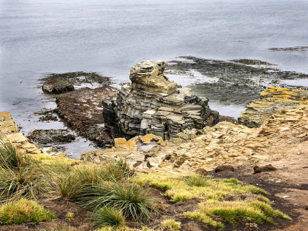 Rocky Coast Sea Lion Island Falkand Malvinas — Stock Photo, Image