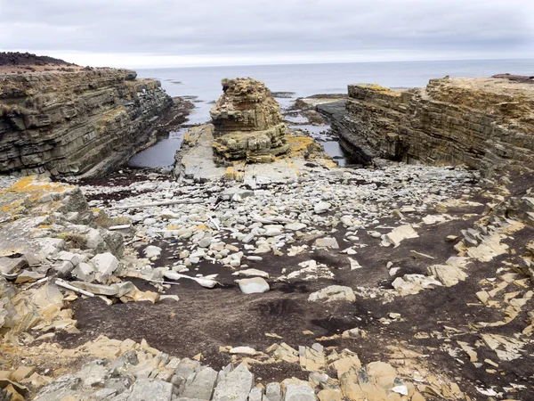 Rocky Coast Sea Lion Island Falkand Malvinas — Stock Photo, Image