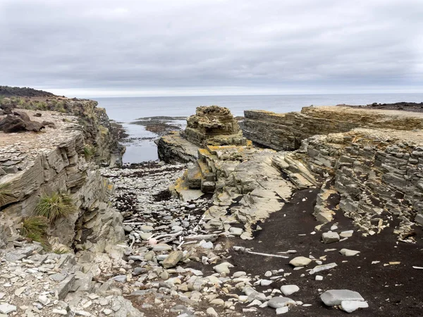 Rocky Coast Sea Lion Island Falkand Malvinas — Stock Photo, Image