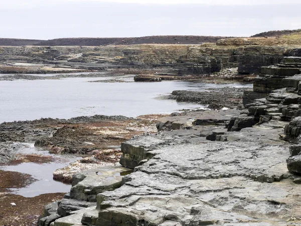 Skaliste Wybrzeże Wyspa Sea Lion Falklandzkich Malwiny — Zdjęcie stockowe